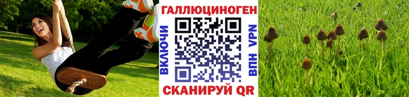 Купить закладки  Покров  Псилоцибиновые грибы мухоморы 